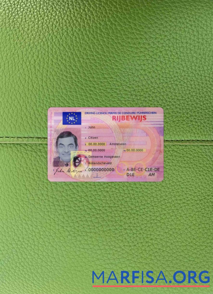 Downloadable Netherlands driving license photolook real example